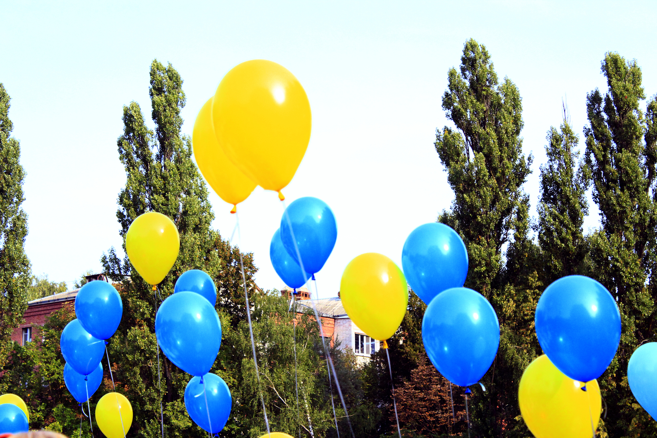 Balloons in Multiple Colors